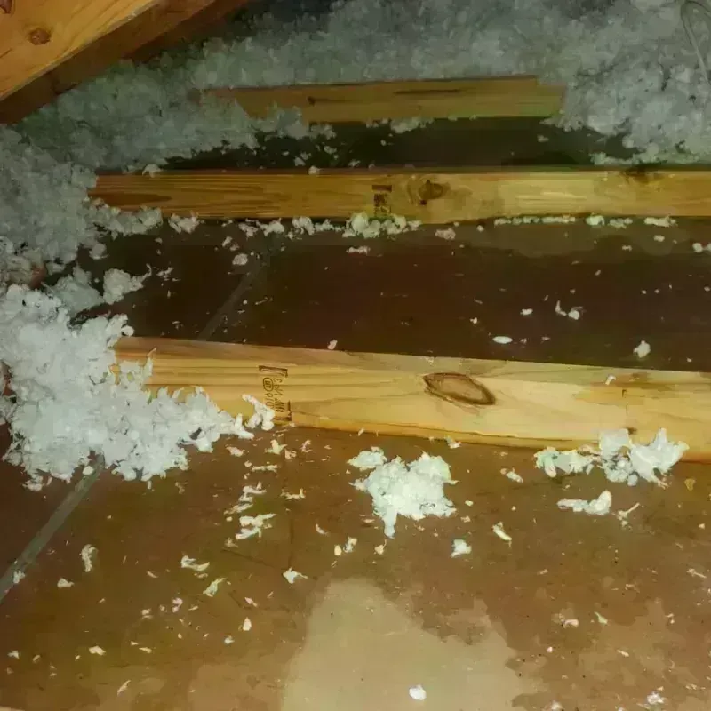 Attic Water Damage in Page County, VA